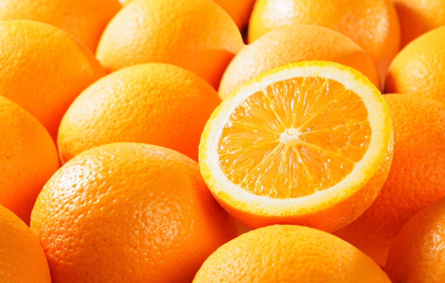 使用品種：ひだまりオレンジ